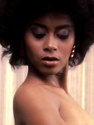 Леди Стефани