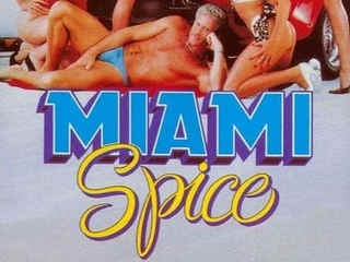 Пикантный Майами (1986)