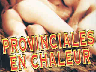 Провинциалки в жаре (1981)