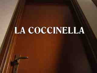 Божья коровка (1999)