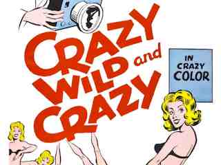 Дикие сумасшедшие и сумасшедшие (1964)