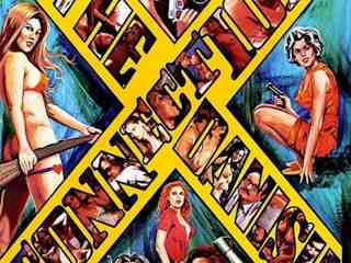 Датская связь (1974)