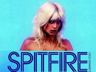 Раздражительный человек (1984)