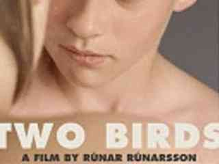 Две птицы (2008)