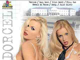 Русский институт 4 (2004)