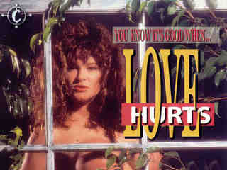 Любовь причиняет боль (1992)