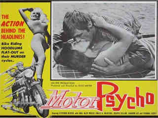 Безумные мотоциклисты (1965)