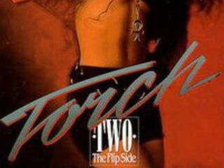 Факел 2: Обратная сторона (1991)