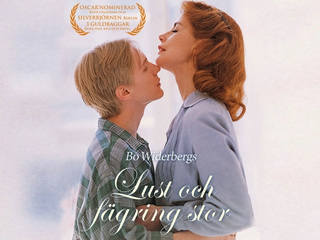 Уроки любви (1995)