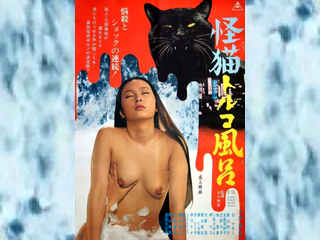 Турецкая баня с призраками (1975)