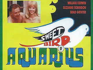 Сладкая птица Водолея (1970)