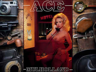 Эйс Малхолланд (секс-детектив) (1995)