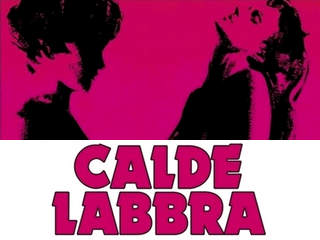 Французская гувернантка (1976)