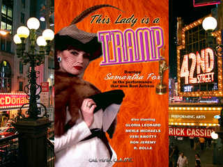 Эта леди - бродяга (1980)