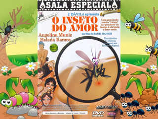 Любовный жук (1980)