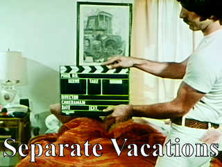 Брачный перерыв (1970)